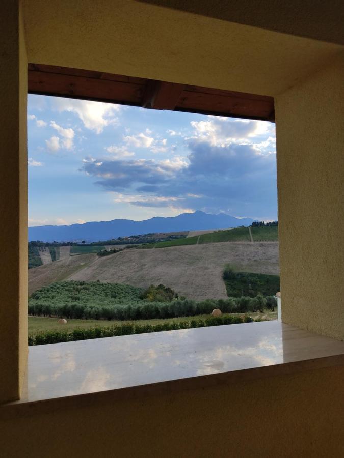 Agriturismo Terra Dei Falchi Castilenti Exteriör bild