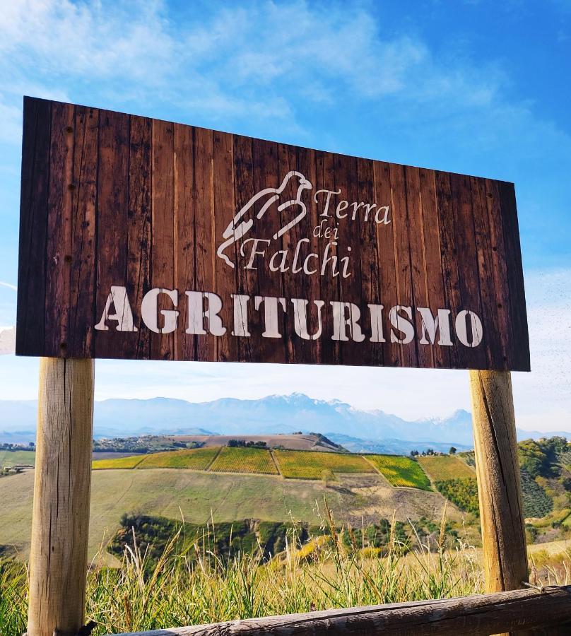 Agriturismo Terra Dei Falchi Castilenti Exteriör bild