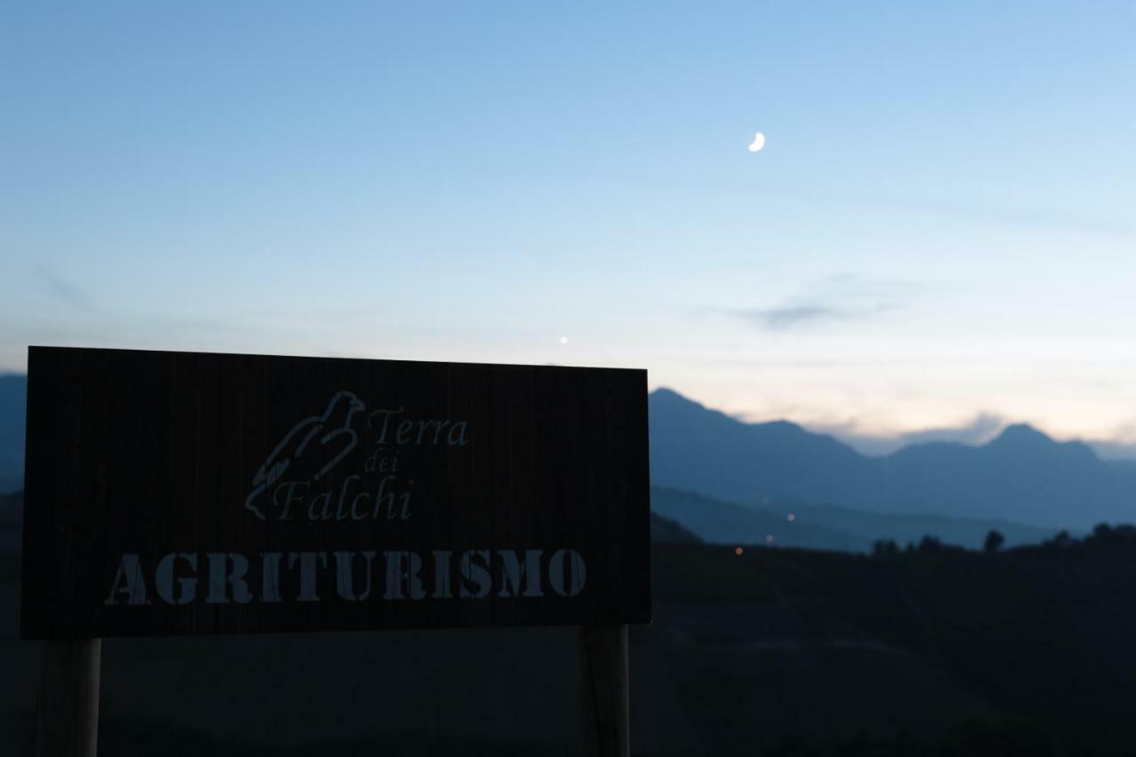 Agriturismo Terra Dei Falchi Castilenti Exteriör bild